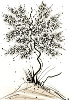 /album/galerie-photos/nature-6456982356-jpg/